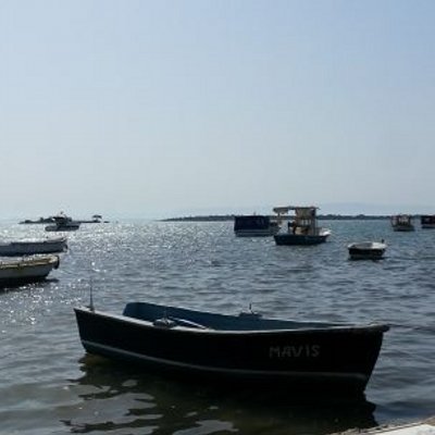 SEYMA Ö.'s profile picture