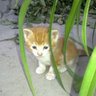 hilal's profile picture