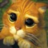 Sam O'Riil's profile picture