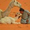 Mohamed's profile picture
