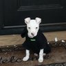jessemack's profile picture