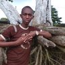 Amin Alh Ba's profile picture