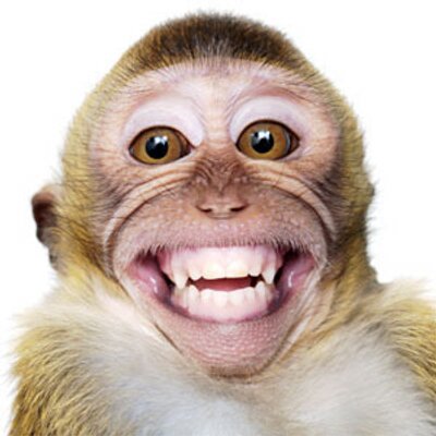 BSerjeantson's profile picture