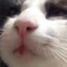 りえどん's profile picture