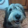 Profilbild von Donna