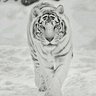 Фото профиля Juan Hernandez L.