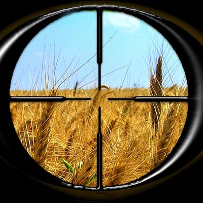 calibr's profile picture