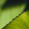 Фото профиля greenpays