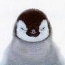 Pingvinski Princ 的头像