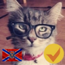 Profilbild von Игорь Тараканов