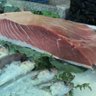 peixateria guinot profil fotoğrafı