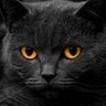 Profilbild von Marigel TB