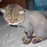 Фото профиля Not interested