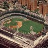 Polo Grounds grass in my yard's profile picture