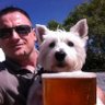 Martin Bell's profile picture