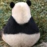 Roger's profile picture