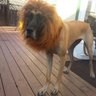 rasta's profile picture