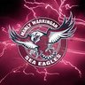 Фото профиля SeaEagle