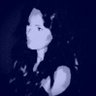 setround profil fotoğrafı