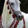 Фото профиля سنا البرق،،