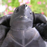 Profilbild von 亀亀たとる