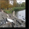 تضحك الدنيا profil fotoğrafı