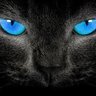 Bif profil fotoğrafı