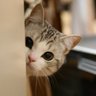 Profilbild von ちむたむ