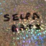 SelpaArts profil fotoğrafı