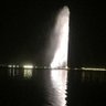 ربي ارحمني's profile picture