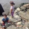 salaheddine's profile picture