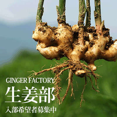 gingerfact2012's profile picture