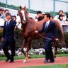 半角祭 的头像