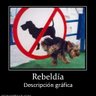 Фото профиля J. Gutierrez