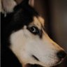 Demo profil fotoğrafı