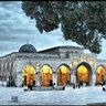 Фото профиля سليم شعيب