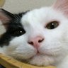 minori profil fotoğrafı