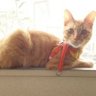 aprilaegeansea profil fotoğrafı