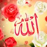 Fouad Elbizanti's profile picture