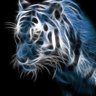 Profilbild von Tigerg
