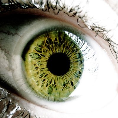 ΞFULA's profile picture