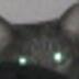 Profilbild von Patranoid