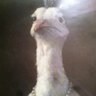 Profilbild von Mike H