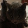 Rui xino profil fotoğrafı