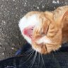 梅 profil fotoğrafı