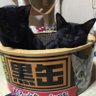 Takun0729 的头像