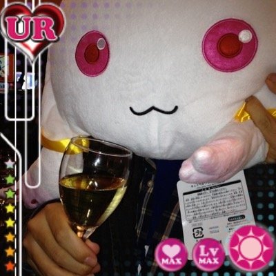 halocynthia's profile picture