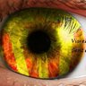 PereRF 🎗 Vull viure SOLAMENT en català's profile picture