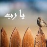 يارب's profile picture