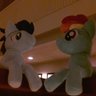 Rainbow Dashole's profile picture